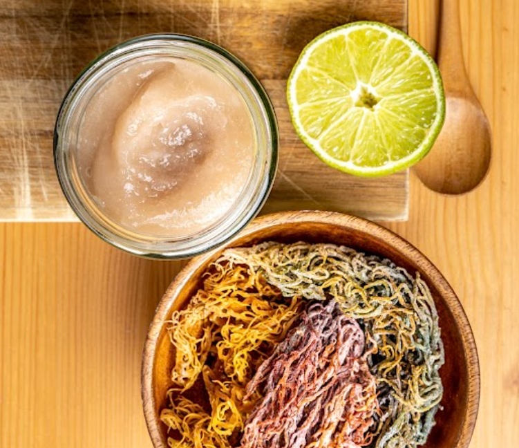 Island Breeze | Premium Sea Moss | Wildcrafted Full Blend Sea Moss Gel | 300 ml