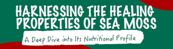 Harnessing the Healing Properties of Sea Moss: A Deep Dive into Its Nutritional Profile
